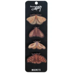 HIDDEN GARDEN MOTH MAGNETS