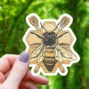 REALISTIC HONEYBEE STICKER 2 REALISTIC HONEYBEE STICKER -Games And Stuff Online 3d6dc9dddb7aa4175bae6eaf15544a5f278a6a982611af2cd94bd2e22640d820
