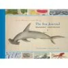 THE SEA JOURNAL: SEAFARER'S SKETCHBOOK BY HUW LEWIS-JONES -Games And Stuff Online 41XsxsG K8L. SX342 SY445