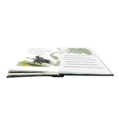 WICKED POP UP BOOK THE STORY OF OZ -Games And Stuff Online 61dhWRnYJ7L. SL1500