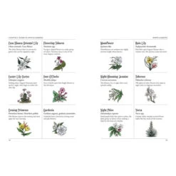 THE GREEN WITCH'S GARDEN: YOUR COMPLETE GUIDE TO CREATING AND CULTIVATING A MAGICAL GARDEN SPACE BY ARIN MURPHY-HISCOCK -Games And Stuff Online 63ca8121c379de64cf66227a12eced75bf1de0373175466cc0ba62266c175306