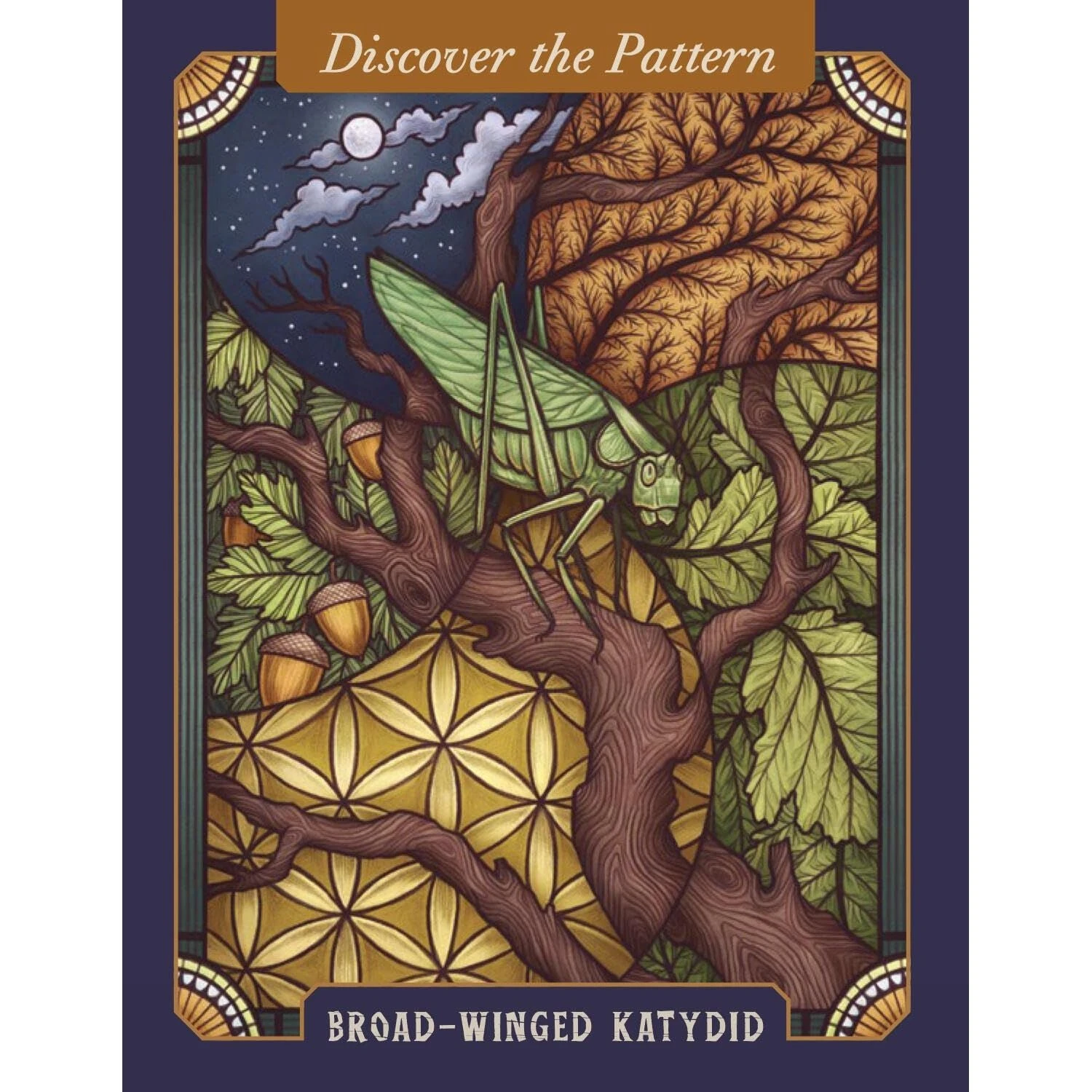 THE ILLUSTRATED BESTIARY ORACLE CARDS BY MAIA TOLL 4 THE ILLUSTRATED BESTIARY ORACLE CARDS BY MAIA TOLL - Image 4