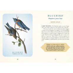 THE SPIRITUAL MEANING OF BIRDS ORACLE DECK -Games And Stuff Online 71Z7XklgE7L. SL1500
