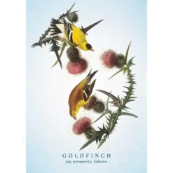 THE SPIRITUAL MEANING OF BIRDS ORACLE DECK -Games And Stuff Online 71j VAP4uxL. SL1500