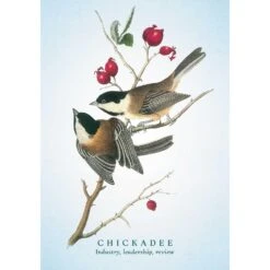 THE SPIRITUAL MEANING OF BIRDS ORACLE DECK -Games And Stuff Online 71pF xDEAzL. SL1500