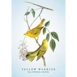 THE SPIRITUAL MEANING OF BIRDS ORACLE DECK -Games And Stuff Online 71q7 CcWftL. SL1500