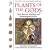 PLANTS OF THE GODS: THEIR SACRED, HEALING, AND HALLUCINATING POWERS BY RICHARD EVANS SCHULTES, ALBERT HOFMANN, & CHRISTIAN RATSCH -Games And Stuff Online 81GwxkhltIL. SL1500