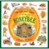 THE LIFE AND TIMES OF THE HONEYBEE BY CHARLES MICUCCI -Games And Stuff Online 81jIRwAH nL. SL1500