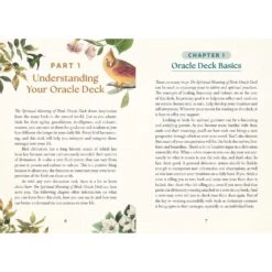 THE SPIRITUAL MEANING OF BIRDS ORACLE DECK -Games And Stuff Online 81oBDiANi1L. SL1500