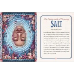 THE ILLUSTRATED CRYSTALLARY BY MAIA TOLL -Games And Stuff Online 915JGn7cpML. SL1500