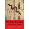 WORKING CONJURE: A GUIDE TO HOODOO FOLK MAGIC BY HOODOO SEN MOISE -Games And Stuff Online 918aEhzVUAL. SL1500