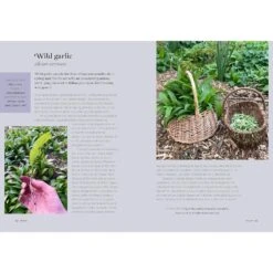 THE FORAGER'S ALMANAC BY DANIELLE GALLACHER -Games And Stuff Online 91N2 cZyS2L. SL1500