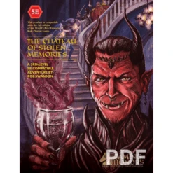 Amigo THE CHATEAU OF STOLEN MEMORIES 5E