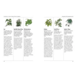 THE GREEN WITCH'S GARDEN: YOUR COMPLETE GUIDE TO CREATING AND CULTIVATING A MAGICAL GARDEN SPACE BY ARIN MURPHY-HISCOCK -Games And Stuff Online c1f3ada9de44ee2c2ddd7bf3b43255ee6473631e5890fce9606cf37599f3cb9c cc1b1650 d83c 4ae8 875d 4dbb8e4825b4