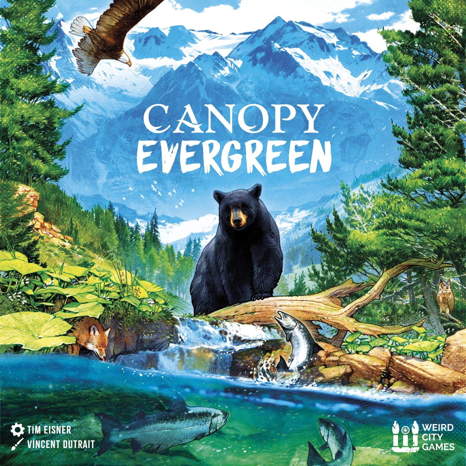 CANOPY EVERGREEN 1 CANOPY EVERGREEN